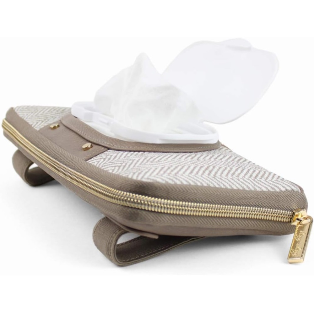 Itzy Ritzy wipes case